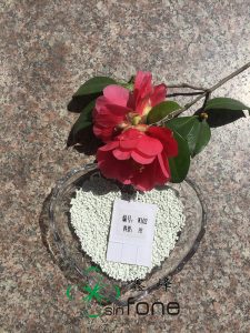 選擇色母粒時(shí)，我們應(yīng)該考慮哪些？